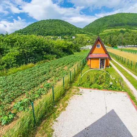 Pyramid Energy House Ferienhaus *
